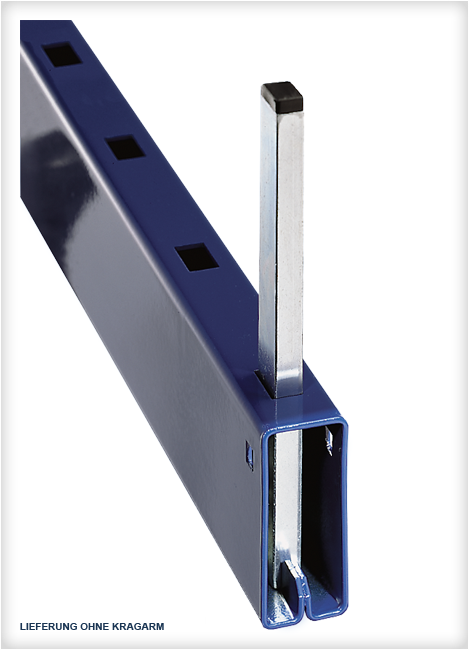 Abrollsicherung, Nutzhöhe: 100 mm, (HxBxT) 170 x 10 x 20 mm, steckbar, verzinkt